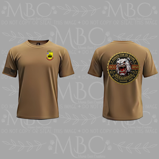 B Co, 3rd BSB. Fort Stewart, GA